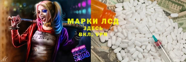 твердый Аркадак