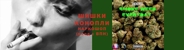 твердый Аркадак
