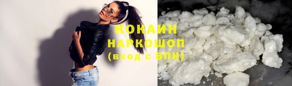 твердый Аркадак