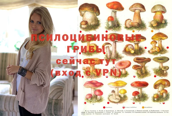 твердый Аркадак